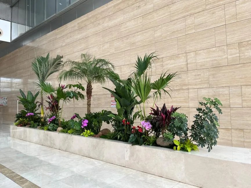 实惠花卉租摆哪里找？余姚这里有妙招！